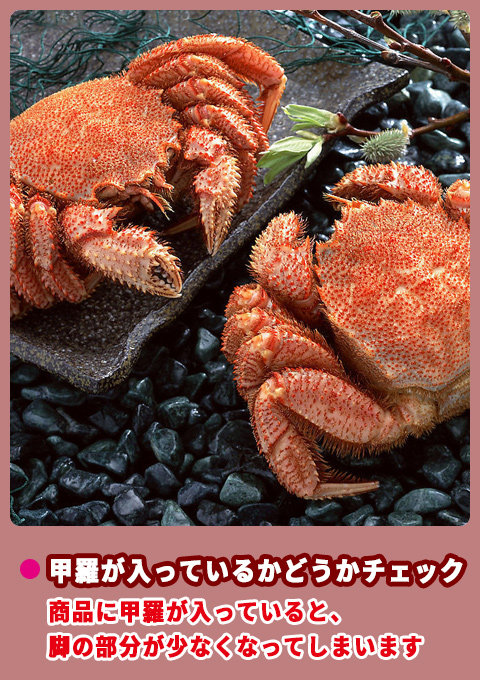 甲羅が入っているかどうかチェック