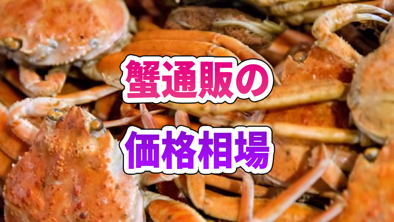 〇の料金相場
