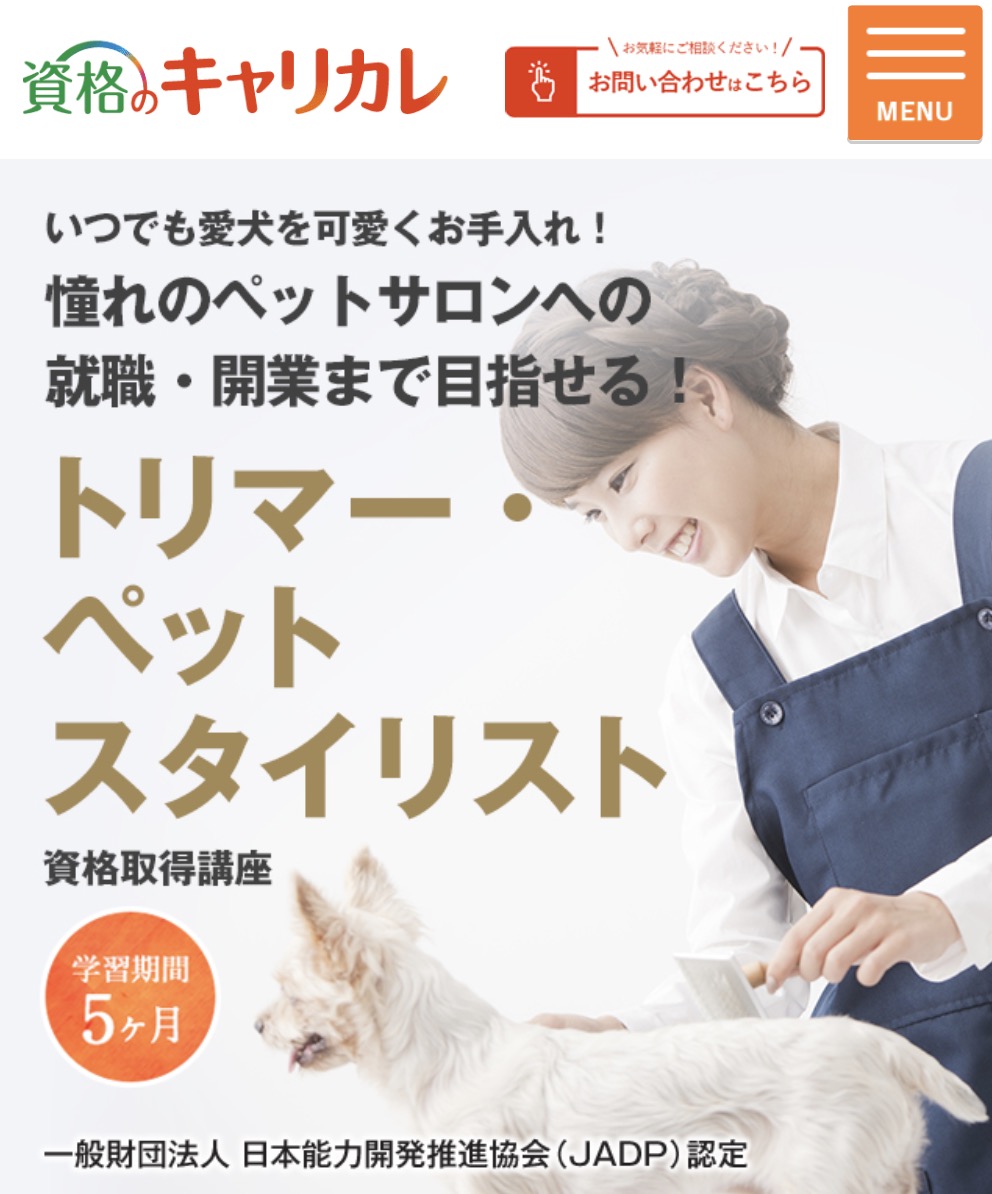 資格のキャリカレのトリマー資格講座