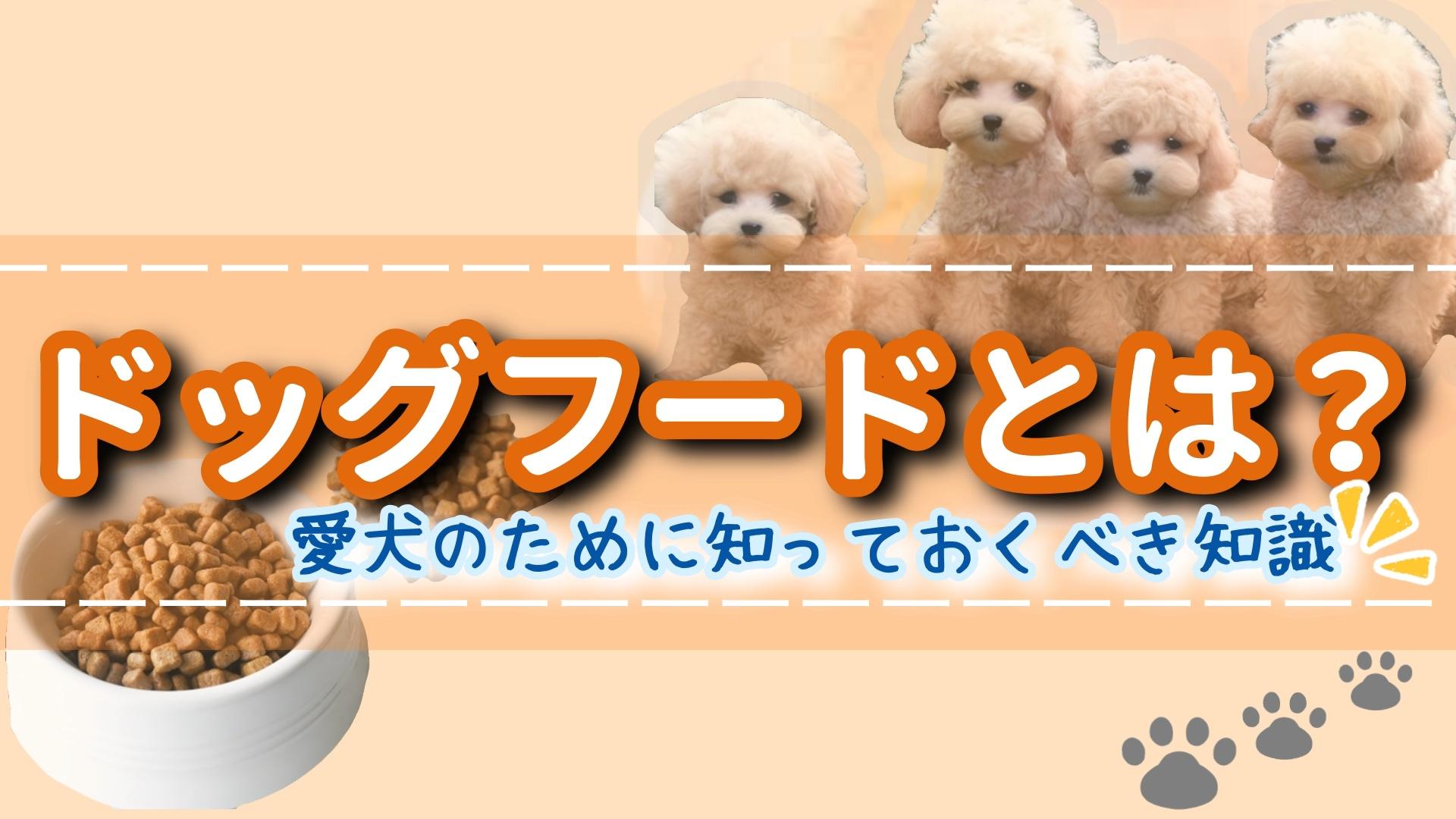 ドッグフードとは?