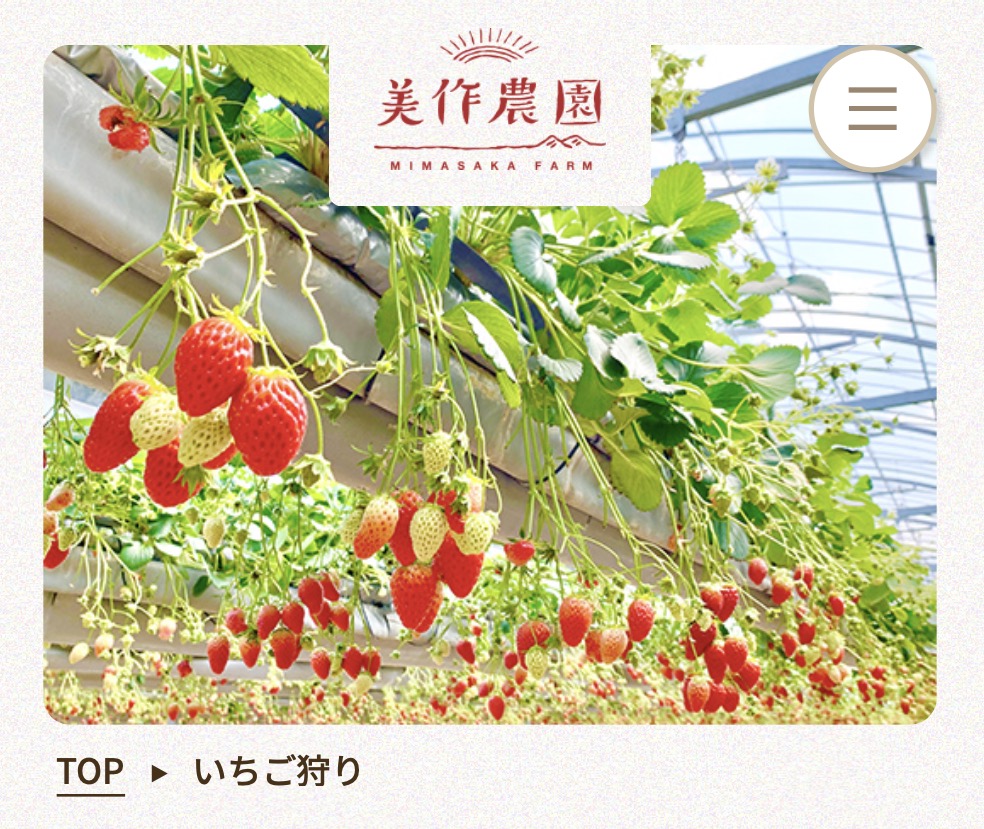 美作農園「いちご狩り」