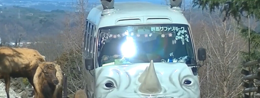 群馬サファリパーク2