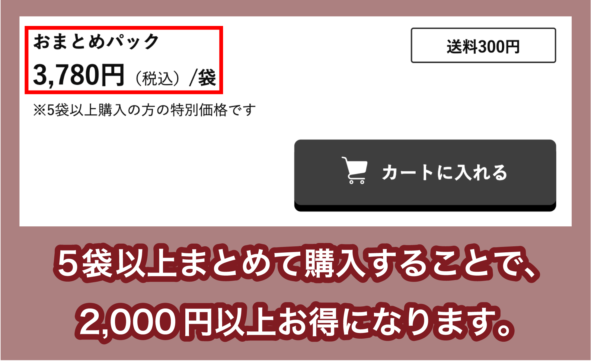 AIJ「臭ピタッ!プラス」のまとめ買い割引